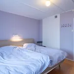Tatil Evi Skomakerhuset